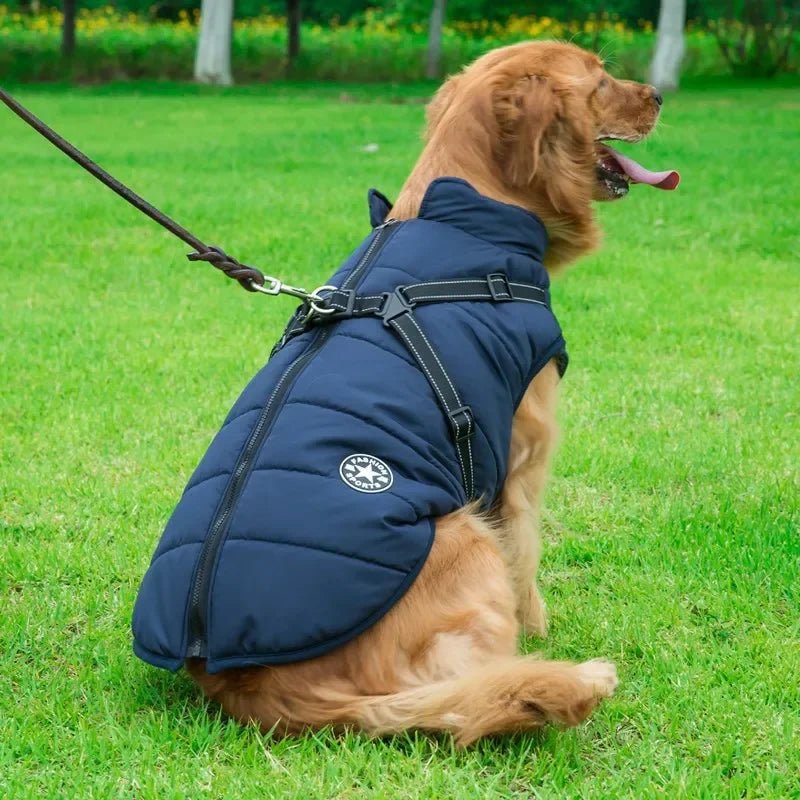 manteau harnais chien sport