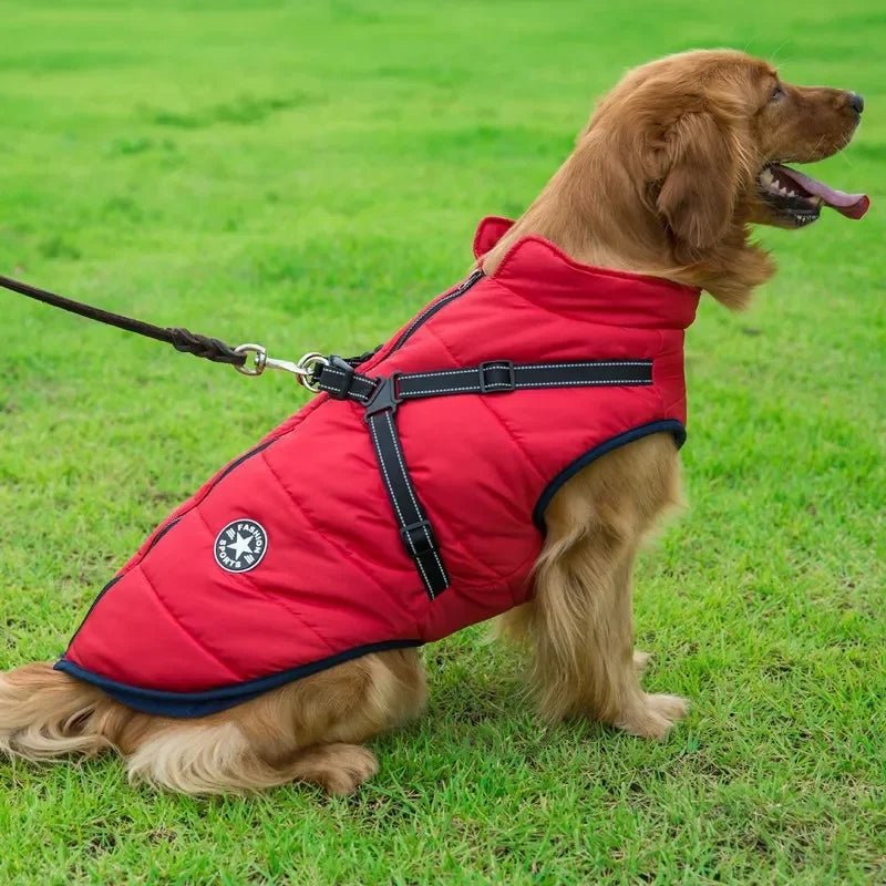 manteau harnais chien rouge