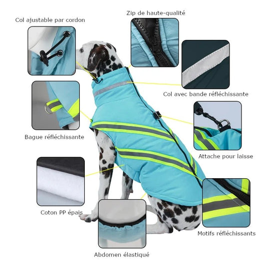 Manteau Fluo Chien