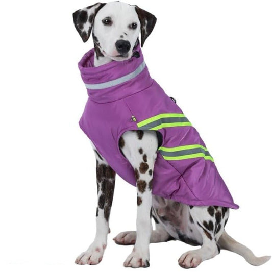 Manteau Fluo Chien