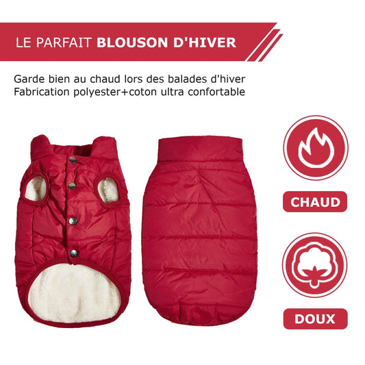 Manteau pour Border Collie & Chien moyen