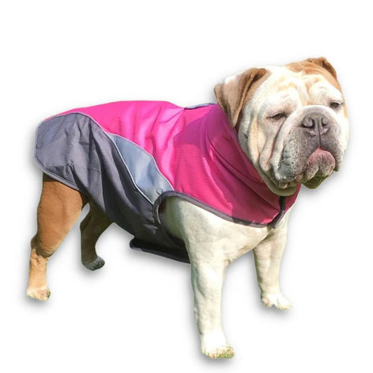 Manteau pour Bulldog Anglais