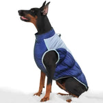 Manteau pour Dobermann / Grand chien - Vignette | La Truffe Pimpante