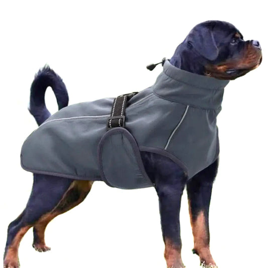 Manteau pour Rottweiler