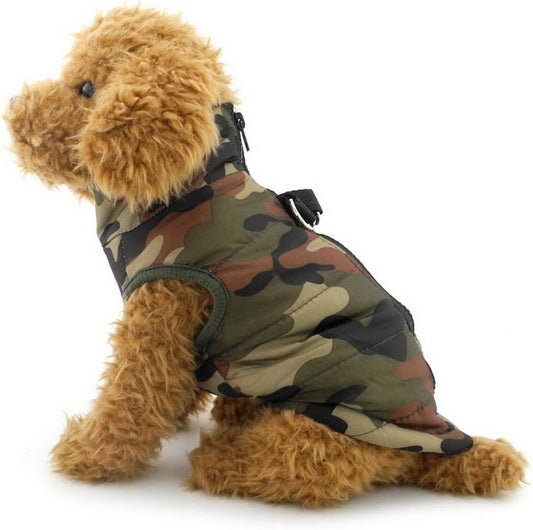 Manteau US Army Chien