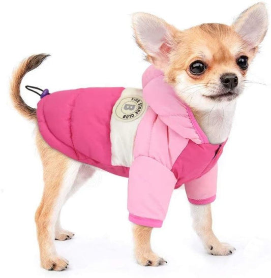 Parka pour Chien Fluo 