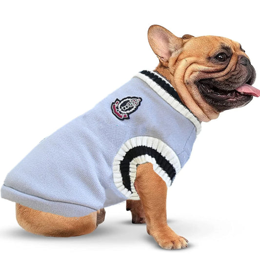 Pull Bouledogue Français