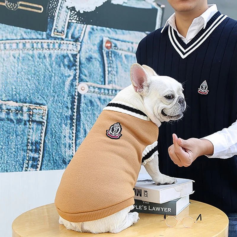 pull chien xs pas cher