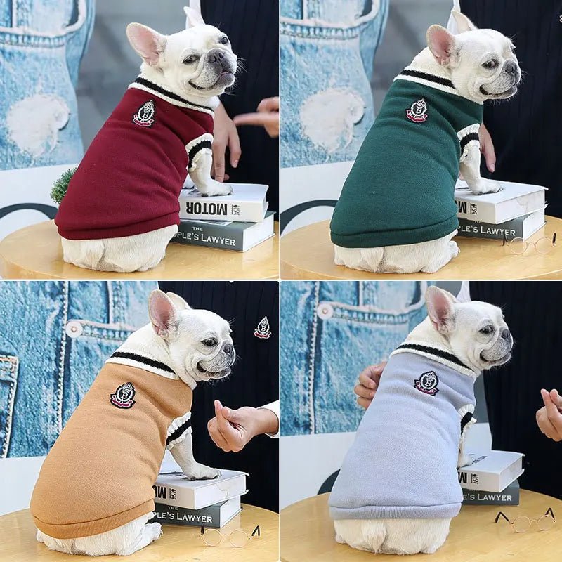 pull chien bouledogue francais