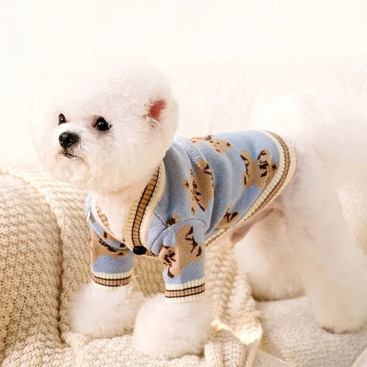 pull chien bichon