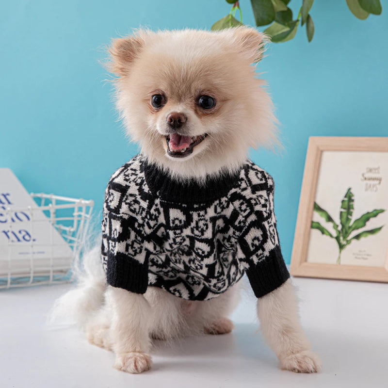 pull chien luxe