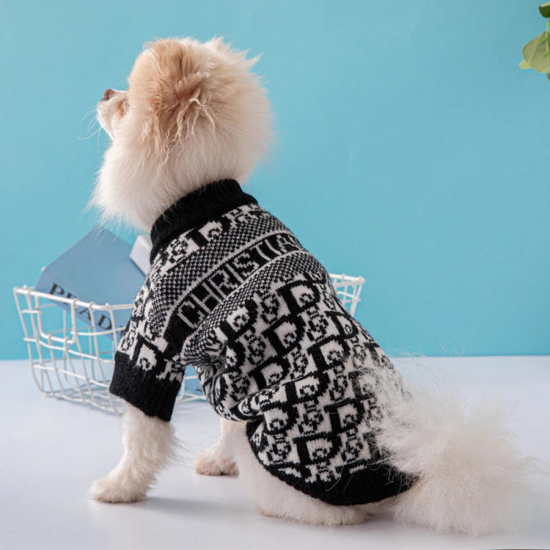 pull chien petite taille