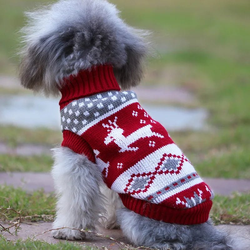 Pull Chien Noël