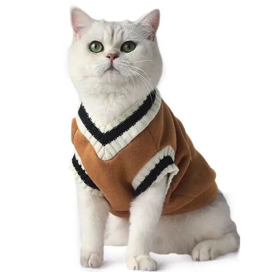 Pull College School pour Chat