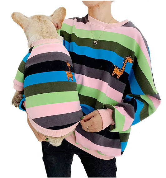 Pull Chien Maître Femme