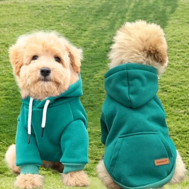 sweat poche kangourou chien