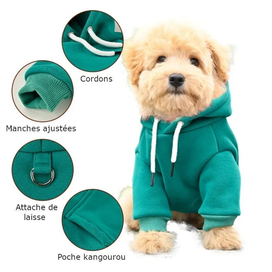 Pull Kangourou Chien