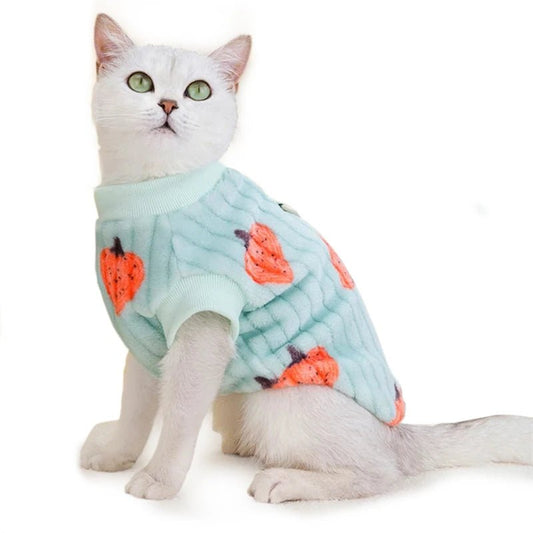 Pull Motif Fraise pour Chat