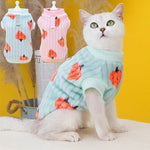 Pull Motif Fraise pour Chat - Vignette | La Truffe Pimpante