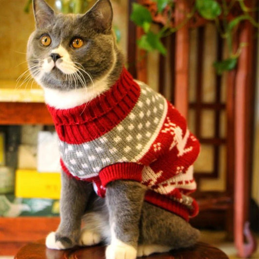 Pull Noël pour Chat