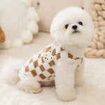 Pull pour Bichon Maltais & petit chien - Vignette | La Truffe Pimpante