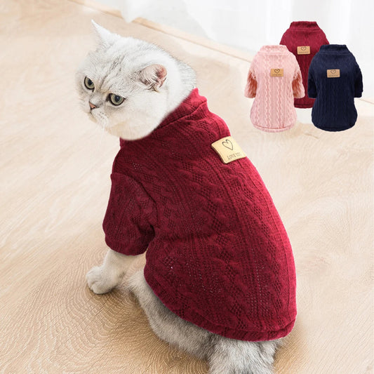 Pull pour Chaton et Chat