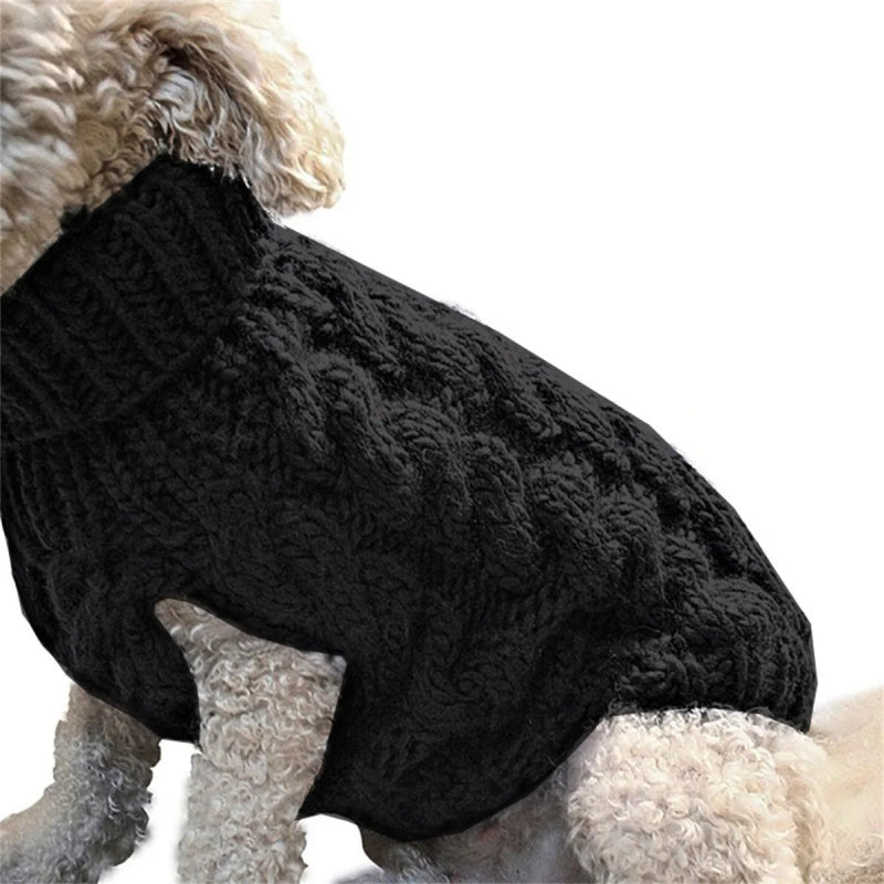 pull chien laine noir