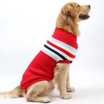 Pull pour Grand Chien - Vignette | La Truffe Pimpante