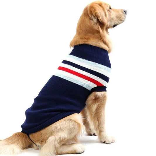 Pull pour Grand Chien