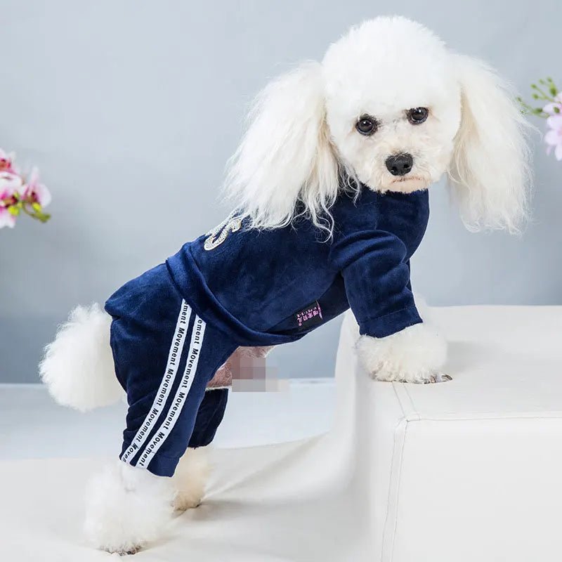 Pyjama Caniche Bleu