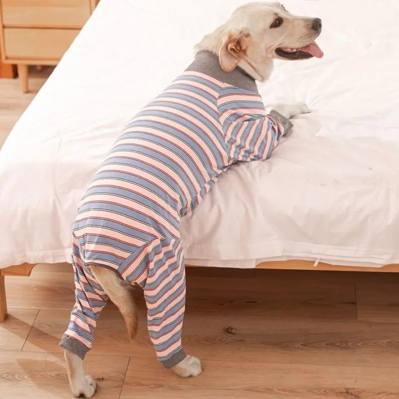 Pyjama Rayé Grand Chien