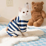 Pyjama Ourson pour Chat - Vignette | La Truffe Pimpante