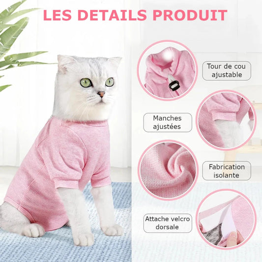 Pyjama pour Chat Après Opération