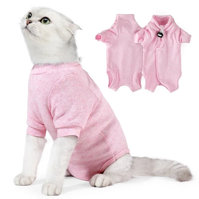 Pyjama pour Chat Après Opération