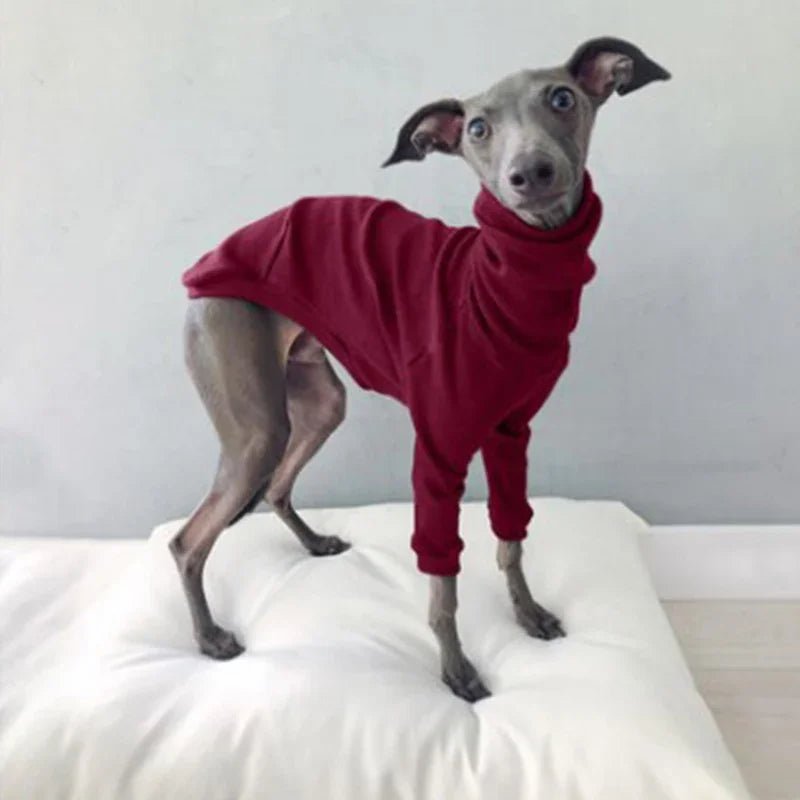 Pyjama pour Whippet Rouge