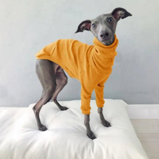 Pyjama pour Whippet Orange