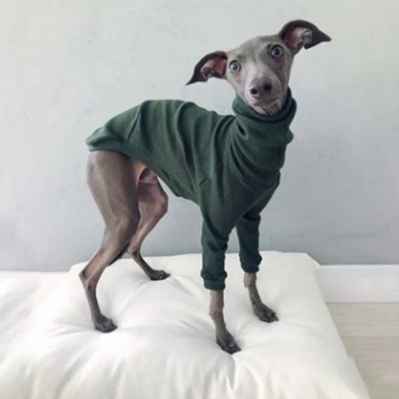 Pyjama pour Whippet Vert