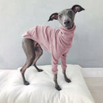 Pyjama pour Whippet - Vignette | La Truffe Pimpante