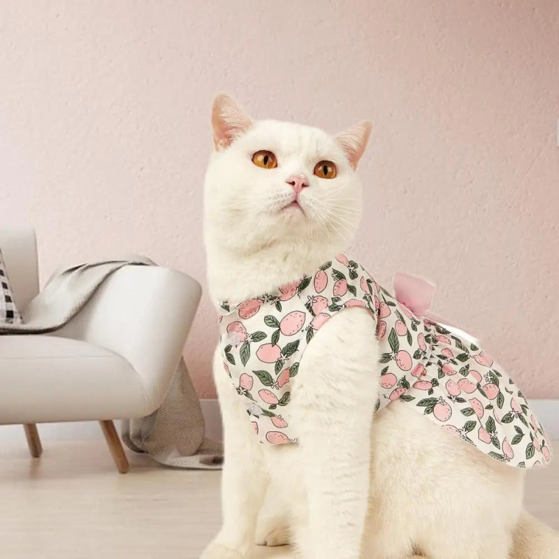 Vêtement Robe pour Chat