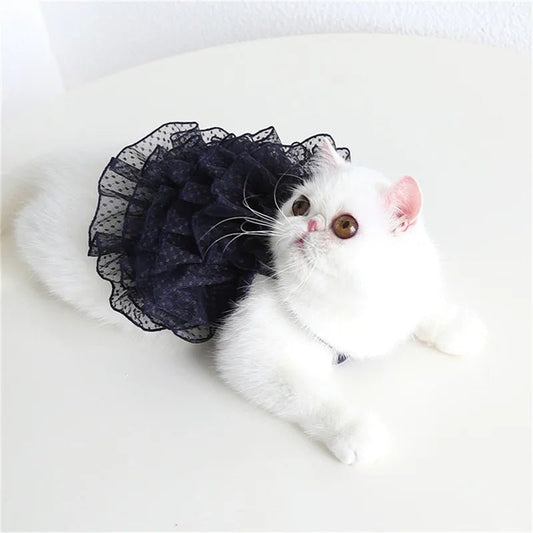 Robe de Mariée Noir Chat