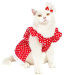 Robe Polca Rouge pour Chat - Vignette | La Truffe Pimpante