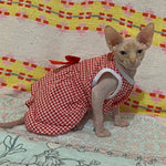 Robe Rouge pour Chat - Vignette | La Truffe Pimpante