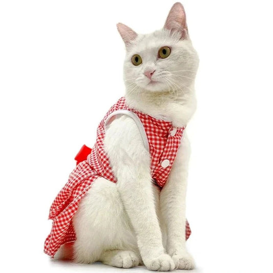 Robe Rouge pour Chat