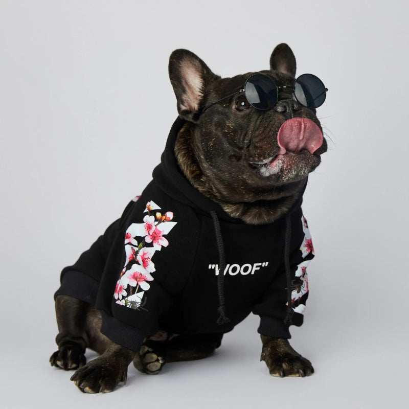 sweat pour bouledogue