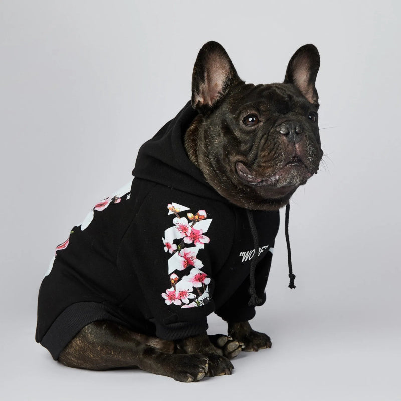 sweat noir chien