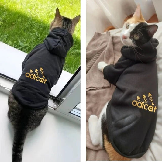 Sweat Adicat pour Chat