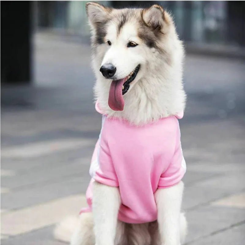 sweat chien rose