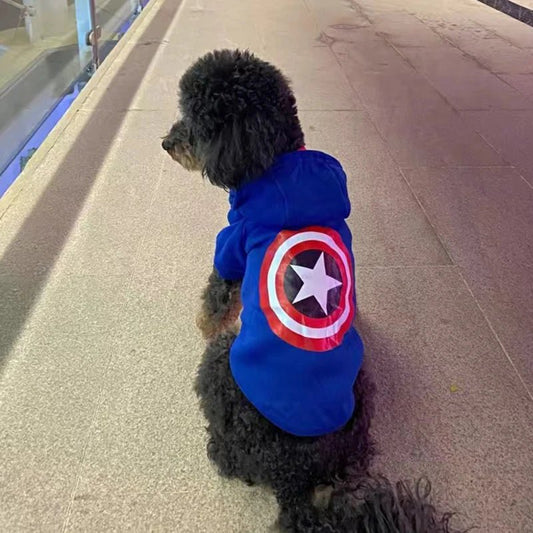 Sweat Captain America pour Chat