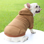 Sweat Capuche Chien - Vignette | La Truffe Pimpante