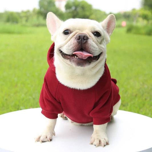 Sweat Capuche Chien